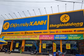 Vừa báo lãi lớn, Thế giới di động giải thể 2 công ty con