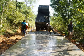 Quảng Nam: Hái ra tiền từ kinh tế vườn, thu cả trăm triệu/năm