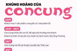 Gallery - Cửa hàng Con Cưng  - image 1