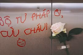 Gallery - Khởi tố Nguyễn Hữu Linh dâm ô trẻ em - image 3
