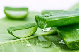 Những món ăn chống nhiễm chất phóng xạ cực tốt