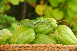 Su su mùa đông chỉ ngon khi chế biến thành những món chuẩn nhà hàng này