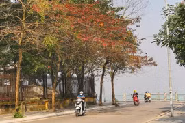 Ngày 23/9: Vùng núi Bắc Bộ có nơi trời lạnh dưới 19 độ