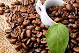 Giá cà phê hôm nay 8/10: Giá giảm xuống đáy, còn 31.600 đồng/kg