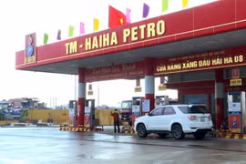 Vì sao Hải Hà Petro càng làm lớn càng lỗ nặng?