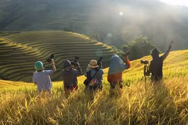 Tour không dành cho người yêu thích sự nhàn hạ