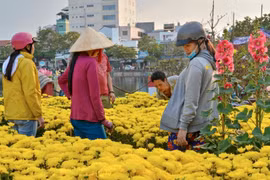 Gallery - THỊ TRƯỜNG TẾT 2024 - image 3