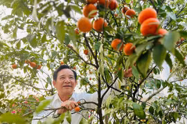 Nghệ sĩ Quang Tèo: Có tháng vắng nhà 25 ngày để chạy show