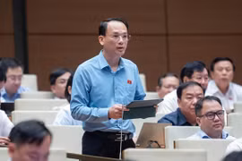 ĐBQH tranh luận về thu thập thông tin mống mắt, ADN... trong Luật Căn cước