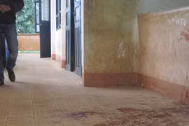 Gallery - Bạo lực học đường