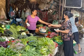 Giá rau xanh tăng “phi mã” sau Bão số 3 Yagi