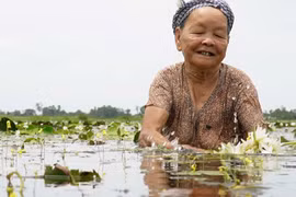 ​Hoa “Thủy Nữ” bán làm rau đặc sản, vạn người mê