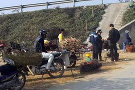 Mối lo “gà đầu trọc” tại chợ Hà Nội