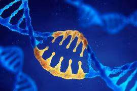 Kinh ngạc về sự trùng khớp giữa gene người và động vật