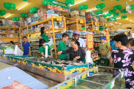 Doanh thu chuỗi Bách Hoá Xanh đạt 26.300 tỷ đồng 11 tháng