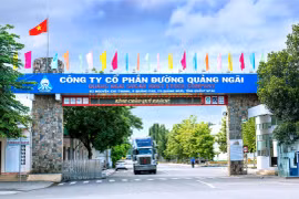 Đường Quảng Ngãi (QNS) sắp chi 268 tỷ đồng tạm ứng cổ tức bằng tiền
