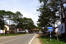 Kon Tum: Cty Diệu Phát Măng Đen và Đông Anh trúng gói làm đường tại Kon Plông