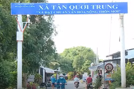 Vĩnh Long: Năng lực nhà thầu trúng gói nâng cấp đường huyện 69 hơn 12 tỷ