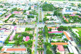 “Sắc xuân” trên Đồng Tháp Mười
