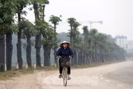 Ngắm lộc non hàng hoa sữa chuyển từ Hà Nội lên bãi rác Nam Sơn 