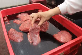 Công ty CP Megatech dùng phụ gia không rõ nguồn gốc cho thực phẩm