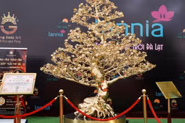 Gallery - THỊ TRƯỜNG TÊT 2023 - image 6
