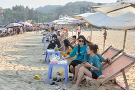 Một quả dừa bán chênh 40.000 đồng ở Sầm Sơn