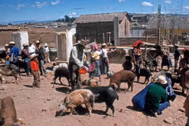 Trở lại với đất nước Guatemala hồi thập niên 1970