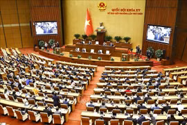 Gallery - KỲ HỌP QUỐC HỘI BẤT THƯỜNG LẦN THỨ 9 - image 2