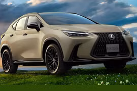 Giá chỉ hơn 1 tỷ đồng, xe Lexus NX 2024 bản Overtrail Edition có gì? 