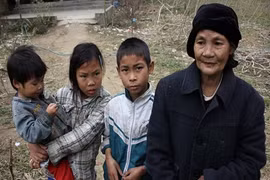 Góa phụ nghèo nuôi cháu mồ côi
