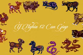 Dự đoán ngày 25/7/2021 cho 12 con giáp: Tuất nhẵn túi, Tỵ tiền đầy túi