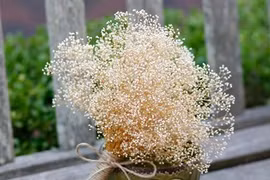 Sinh vào 7 ngày đại cát này, chắc chắn giàu sang phú quý trọn đời 