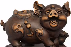 Gallery - Giải Cứu Lợn