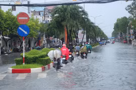 Bạc Liêu: Nhà thầu nào thi công nâng cấp đường Trần Phú?