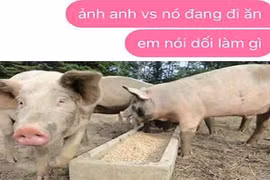 Gallery - Ngày Cá Tháng Tư - image 1