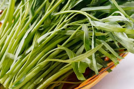 Gallery - Chữa bệnh táo bón - image 2