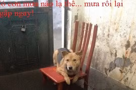 Gallery - Hà Nội Ngập Nặng - image 1