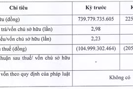 Nam Phương Energy lỗ tiếp 205 tỷ, vốn chủ sở hữu teo tóp