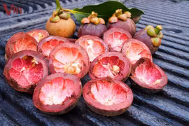 4 lợi ích bất ngờ của vỏ măng cụt không phải ai cũng biết 