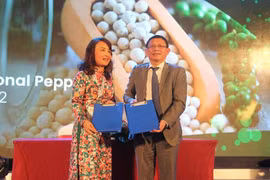 Đắk Lắk: Xây dựng phát triển bền vững ngành Hồ tiêu