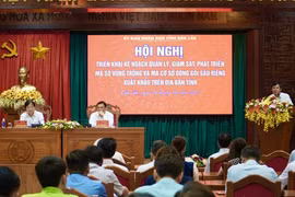 Đắk Lắk: Tăng cường quản lý, giám sát mã số sầu riêng xuất khẩu