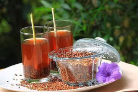 Gallery - Chữa Bệnh Bằng Thảo Dược - image 8