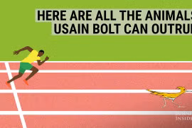 Gallery - Olympic Rio 2016 - image 4