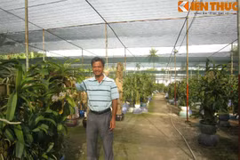 Đại gia Sài Gòn và thú chơi lan “kỳ dị“