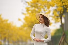 Dự báo thời tiết hôm nay: Miền Bắc nắng vàng, miền Nam mưa giông 