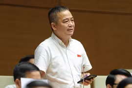 Đại biểu Nguyễn Lân Hiếu: Nên cấm bán sách tham khảo trong nhà trường