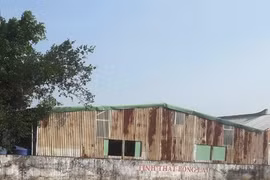 Gallery - LÙM XÙM Ở TỊNH THẤT BỒNG LAI - image 2