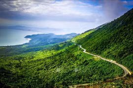 Gallery - Việt Nam & Thế Giới - image 1