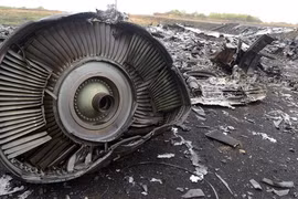 Gallery - Thảm Họa MH17 - image 2